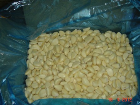 1o kg lık özel çuvallanmış işlenmiş  sarımsak